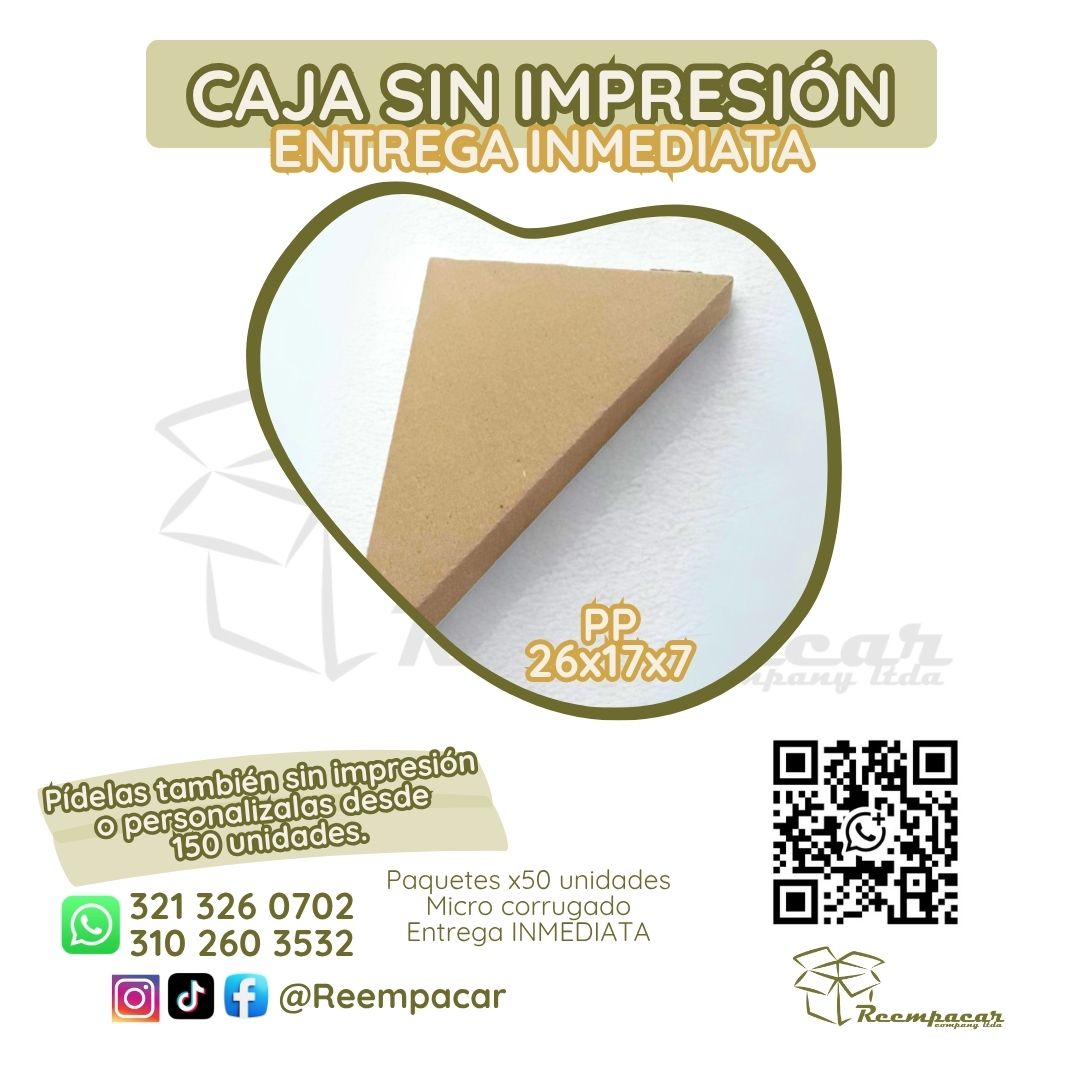 Caja Multiusos Triangulo PP- Sin impresión